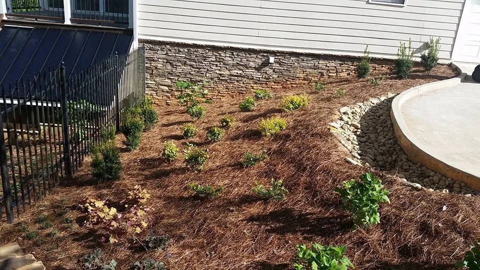 Local lawn care service for residential properties in Cumming, GA by McBrayer Landscapes