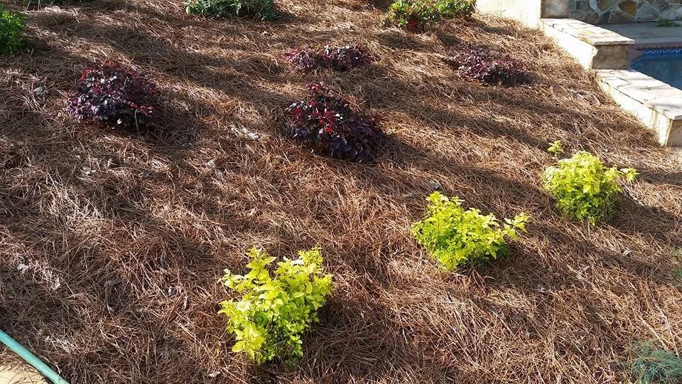 Top-rated yard cleanup service with custom design in Cumming, GA by McBrayer Landscapes