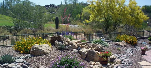 Trusted lawn care service experts serving Tucson, AZ - McBride Landscaping and Yard Maintenance