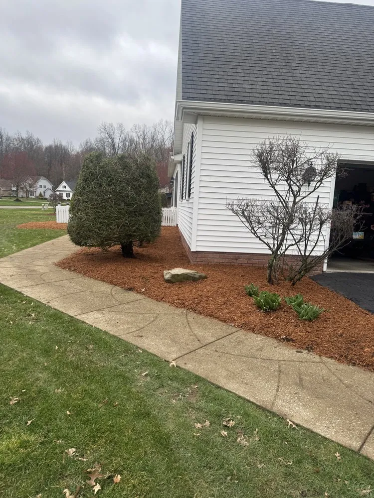 Affordable yard cleanup service experts serving Warren, OH - McBride LawnCare