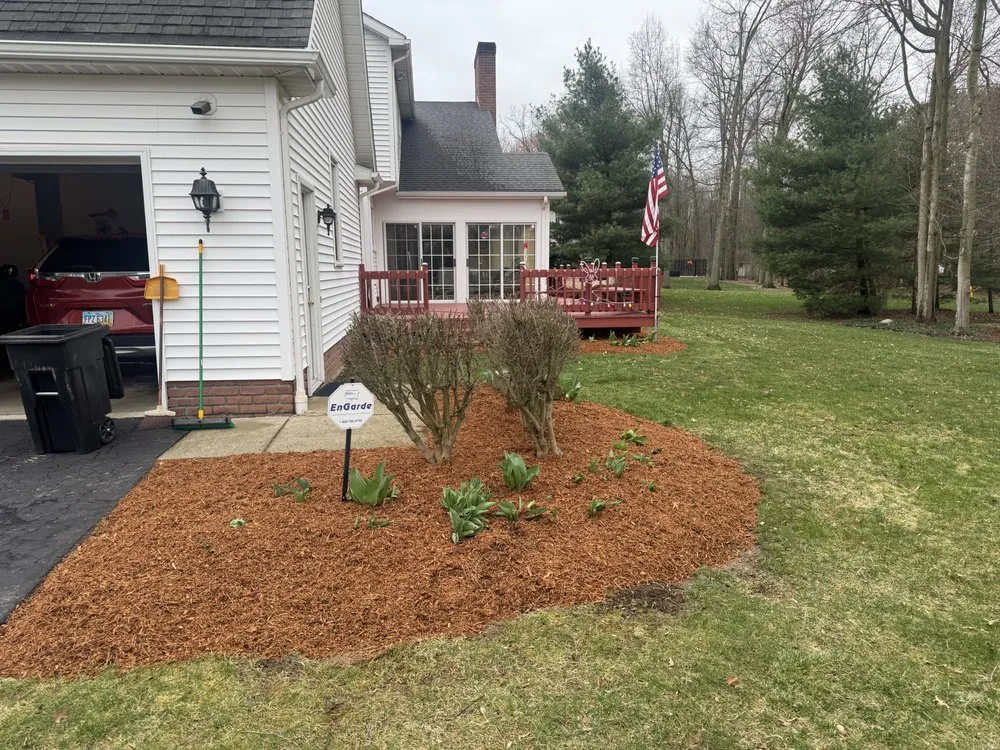 Expert yard cleanup service in Warren, OH by McBride LawnCare