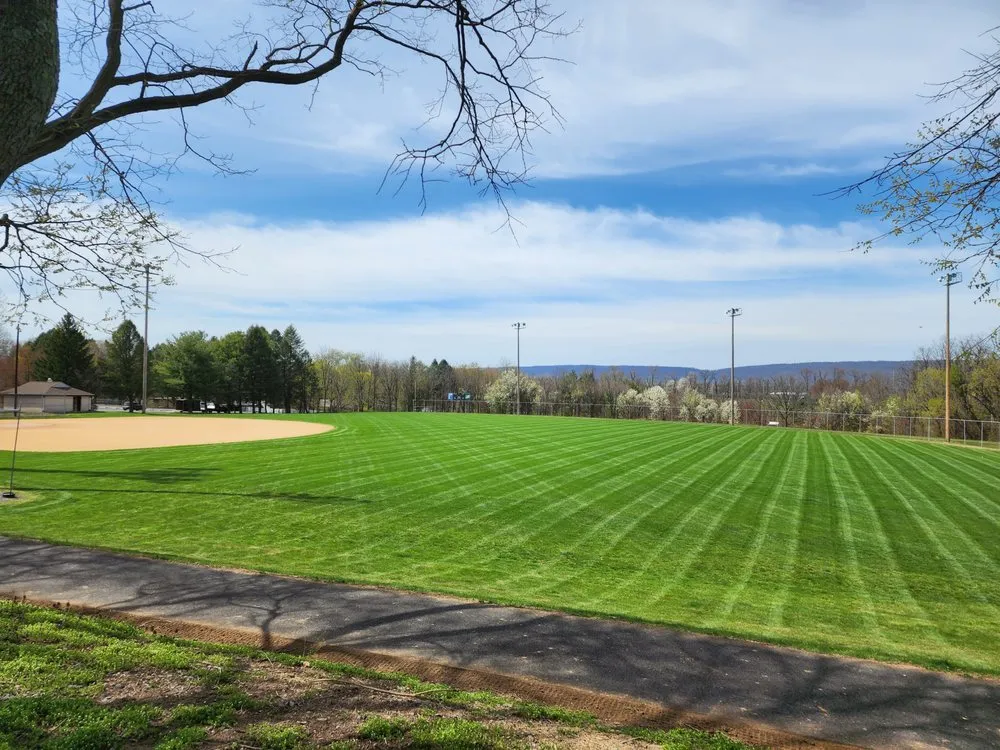 Local yard cleanup service for outdoor upgrades across Newville, PA - McBride's Blue Collar Construction