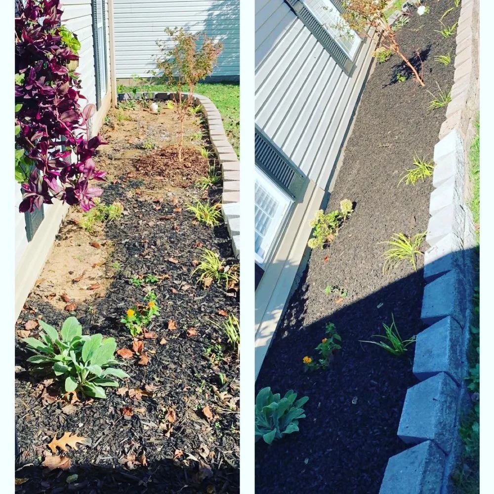 Expert outdoor landscaping in Jackson, TN - Mcbride’s Landscaping & Pressure Washing