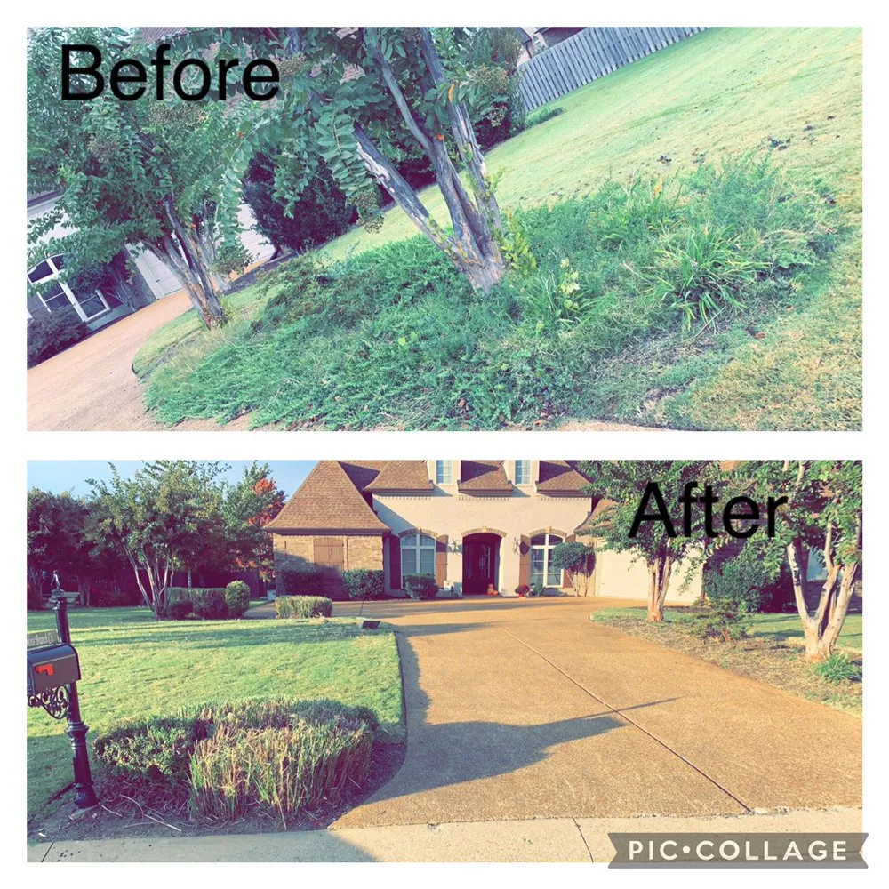 Top-rated landscape installation in Jackson, TN by Mcbride’s Landscaping & Pressure Washing