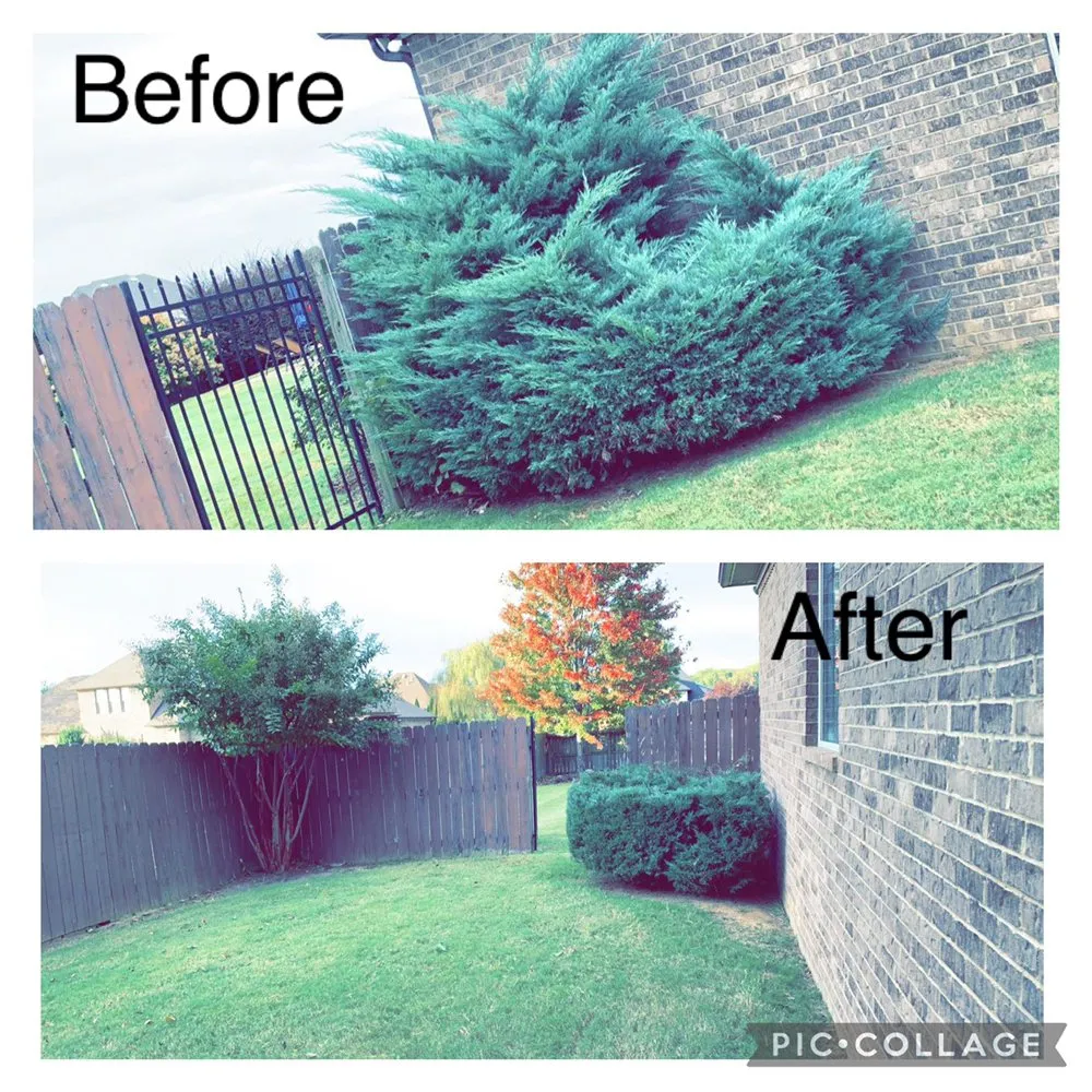 Custom yard maintenance in Jackson, TN by Mcbride’s Landscaping & Pressure Washing