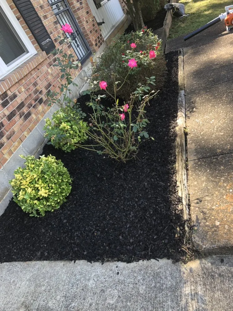 Expert landscaping services in Jackson, TN - Mcbride’s Landscaping & Pressure Washing