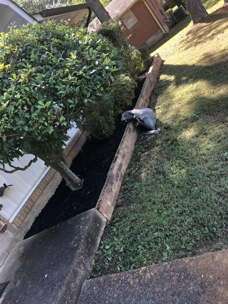 Custom landscaping services for year-round maintenance across Jackson, TN - Mcbride’s Landscaping & Pressure Washing