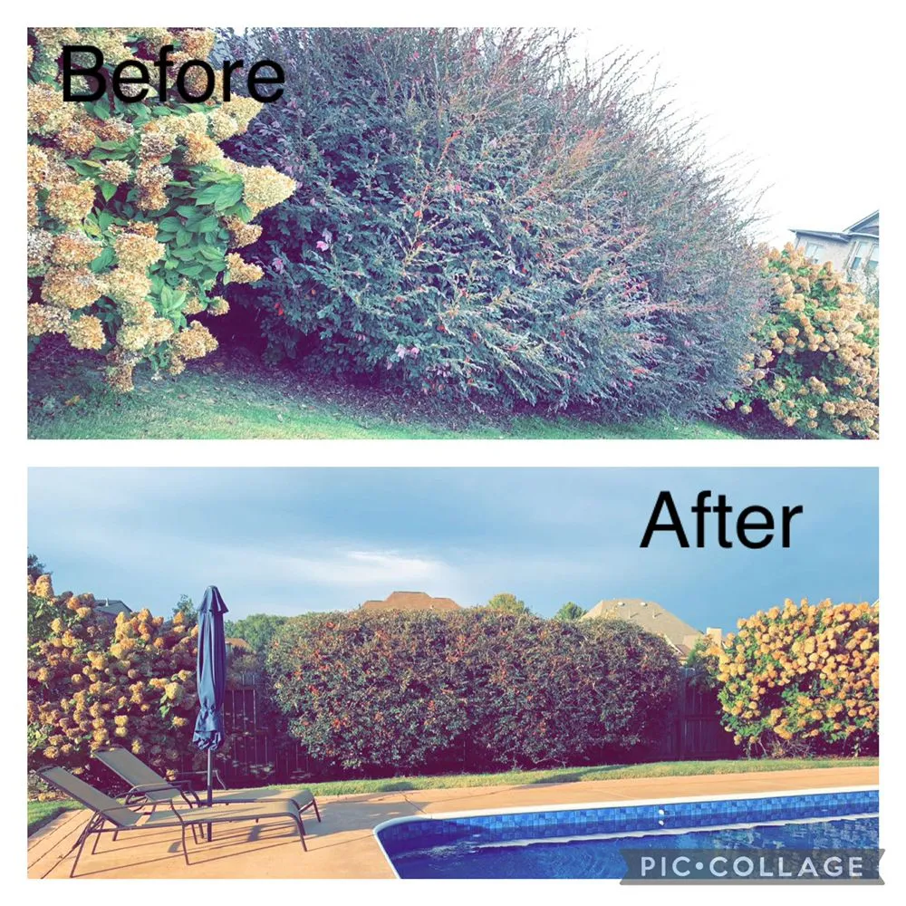 Custom landscape installation in Jackson, TN by Mcbride’s Landscaping & Pressure Washing