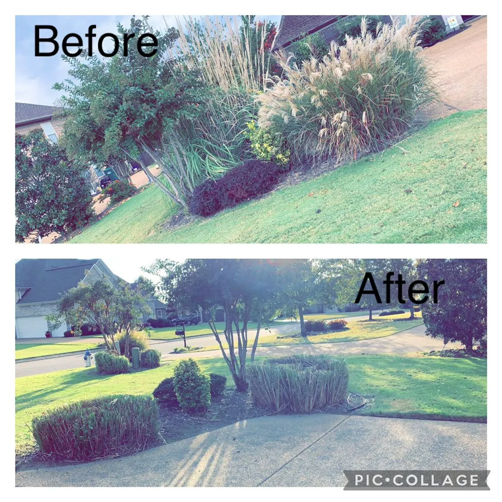 Expert residential landscaping in Jackson, TN - Mcbride’s Landscaping & Pressure Washing