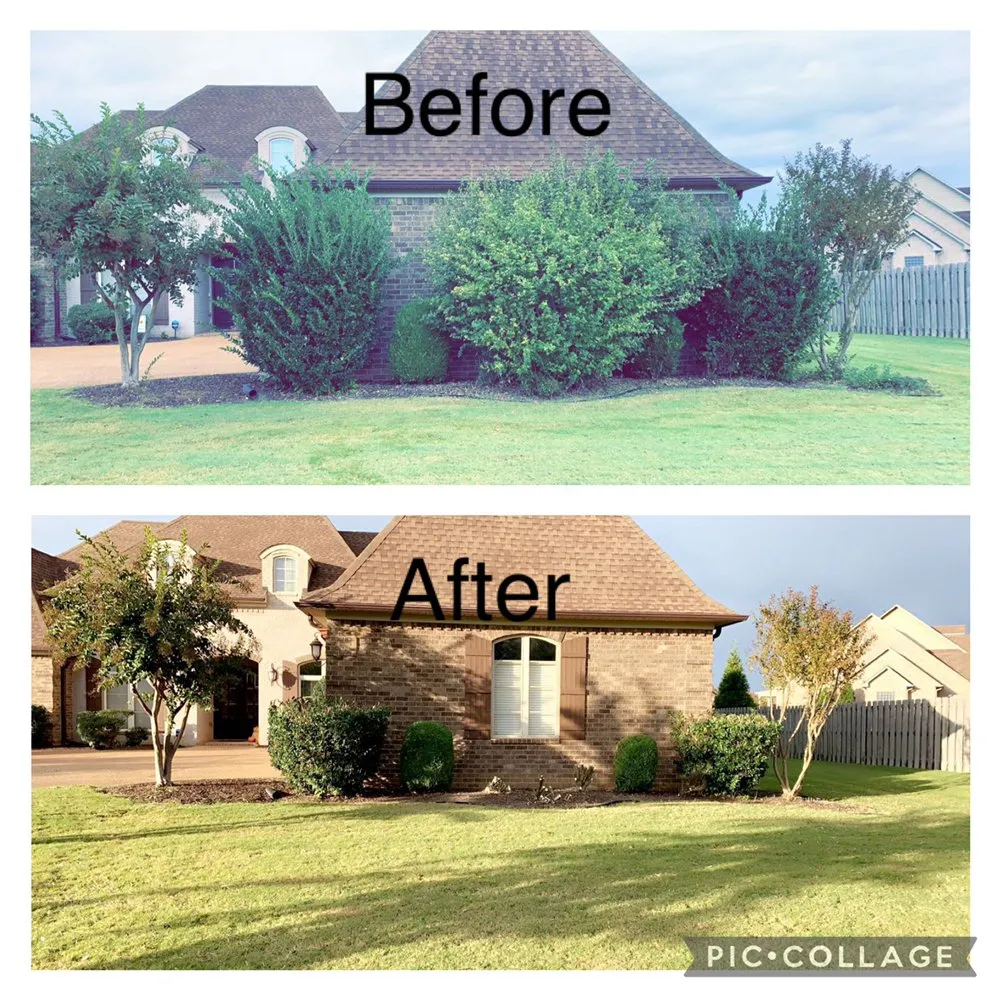Expert yard maintenance for homes in Jackson, TN by Mcbride’s Landscaping & Pressure Washing