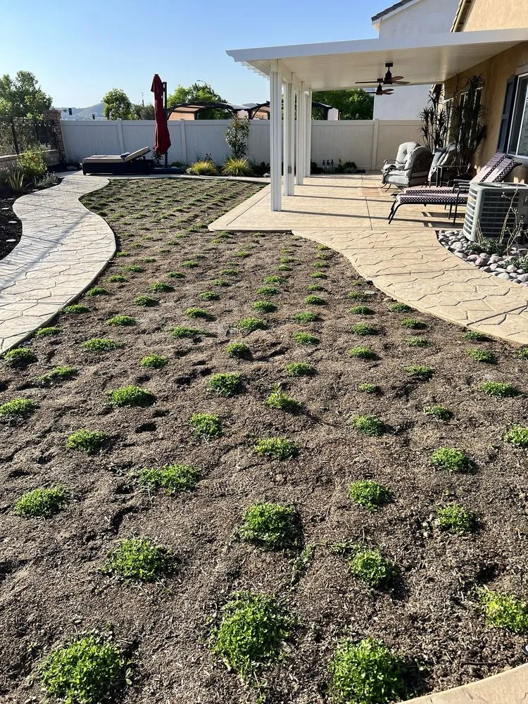 Professional garden landscaping in Murrieta, CA by McCabe's Landscape Construction