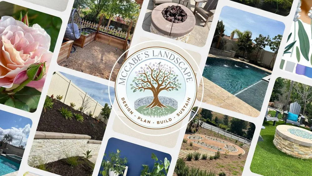 Professional outdoor landscaping in Murrieta, CA by McCabe's Landscape Construction