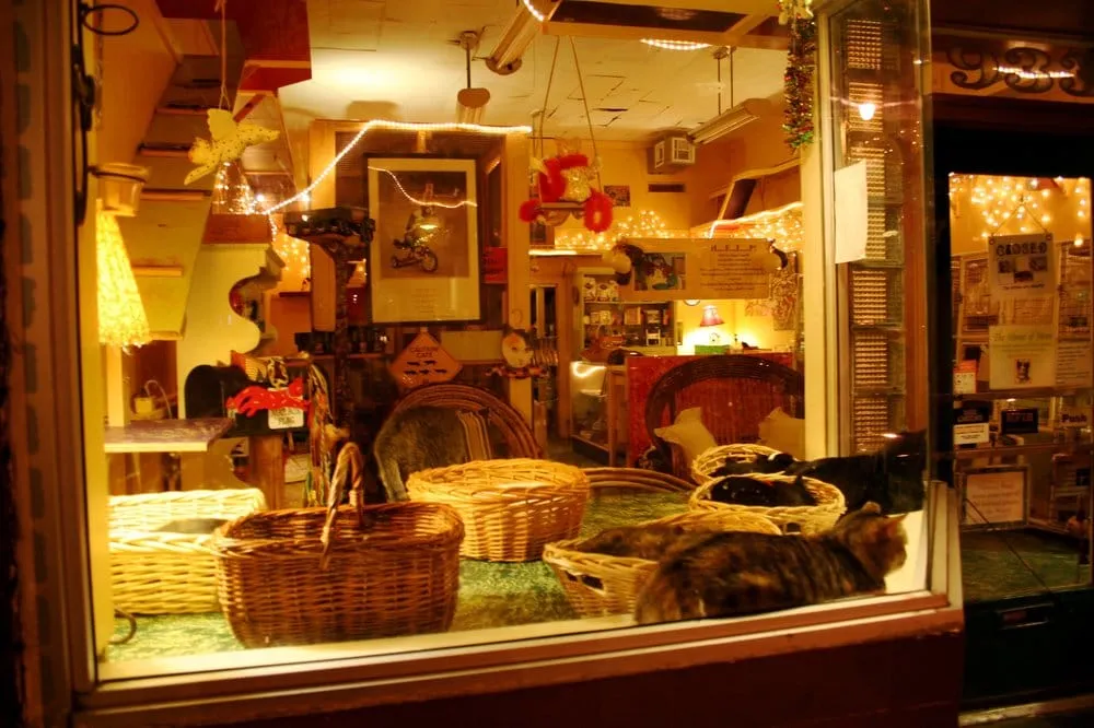 Top-rated residential landscaping experts serving Murrieta, CA - McCabe's Landscape Construction