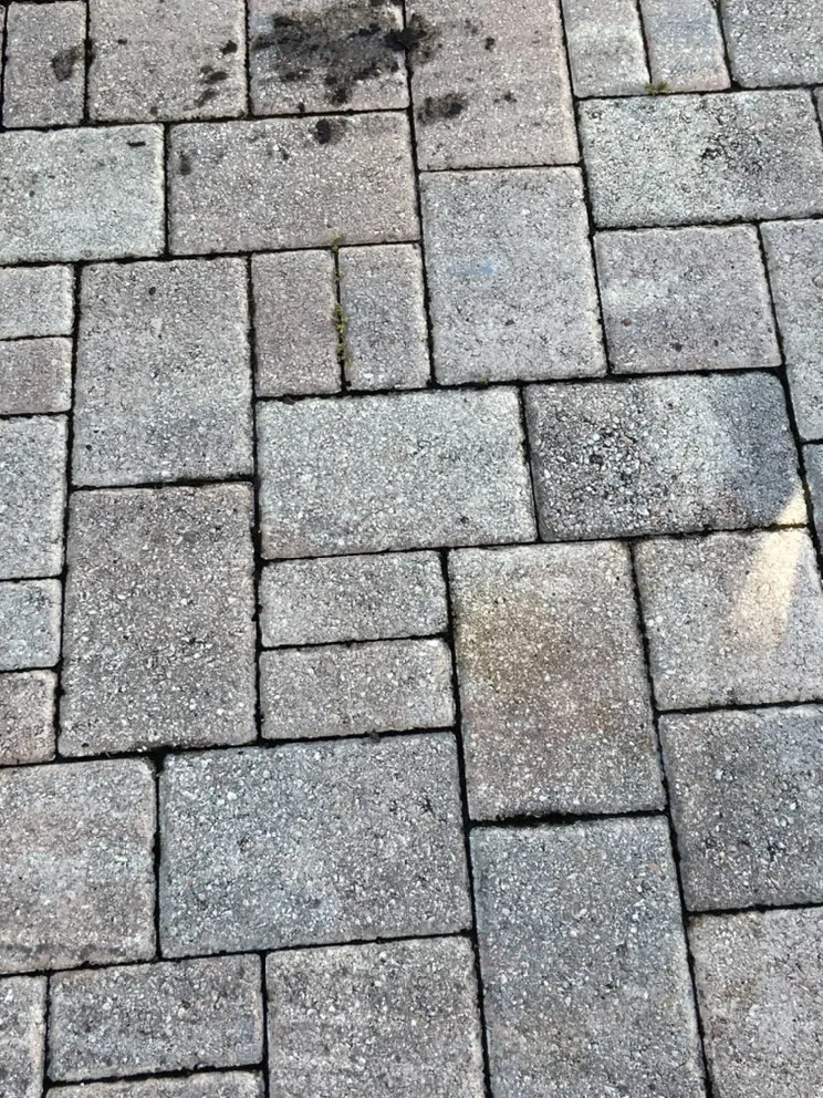 Local landscape design in Seminole, FL by McCabe’s Lawn Services