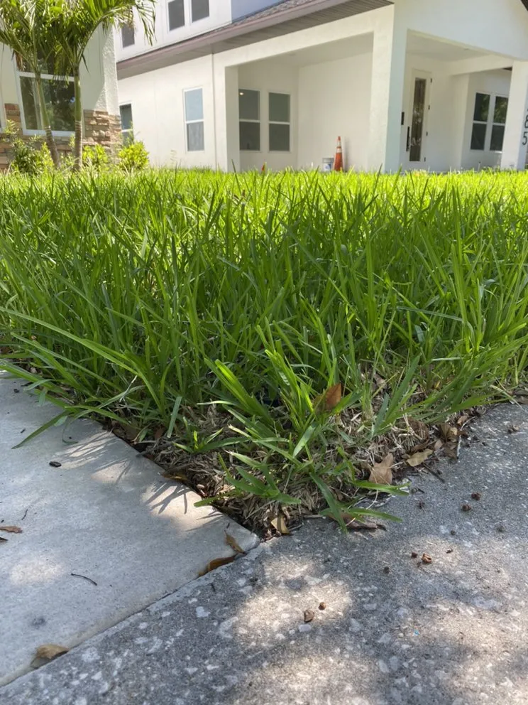 Custom landscape design in Seminole, FL by McCabe’s Lawn Services