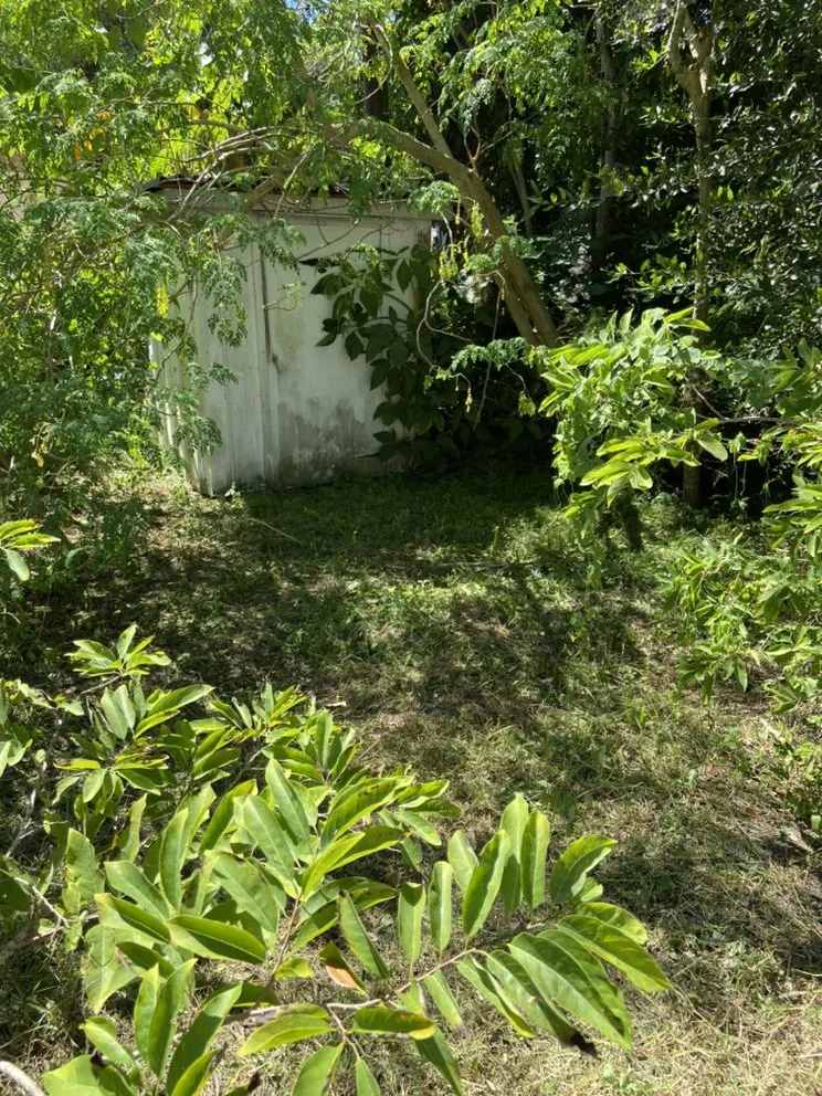 Reliable landscape installation experts serving Seminole, FL - McCabe’s Lawn Services