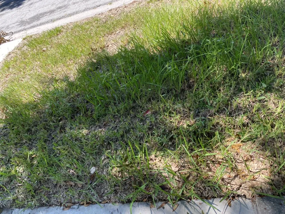 Expert landscape design for year-round maintenance across Seminole, FL - McCabe’s Lawn Services