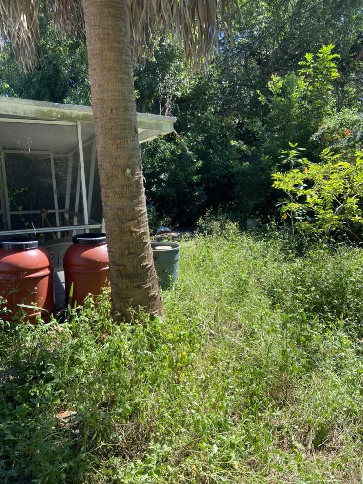 Custom outdoor landscaping in Seminole, FL - McCabe’s Lawn Services