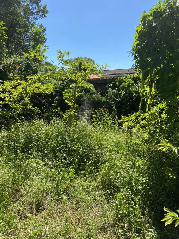 Trusted landscaping services in Seminole, FL by McCabe’s Lawn Services