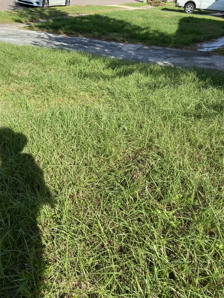 Expert outdoor landscaping experts serving Seminole, FL - McCabe’s Lawn Services