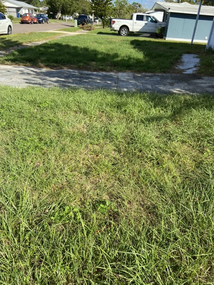 Reliable lawn care service for homes across Seminole, FL - McCabe’s Lawn Services