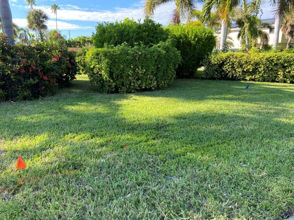 Custom yard cleanup service for beautiful yards across Seminole, FL - McCabe’s Lawn Services