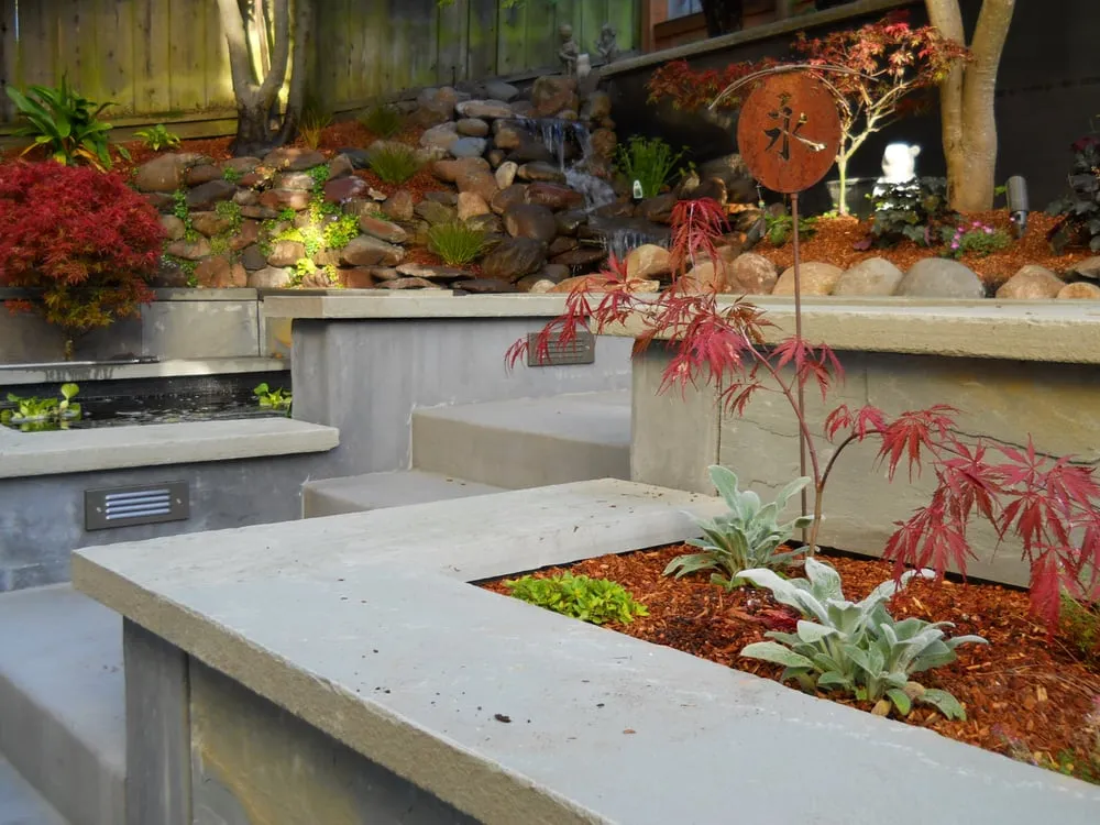 Local yard cleanup service experts serving Berkeley, CA - McCaffrey Brothers, Inc.