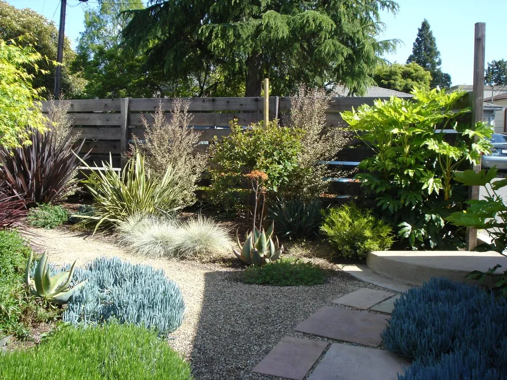 Local garden landscaping in Berkeley, CA - McCaffrey Brothers, Inc.