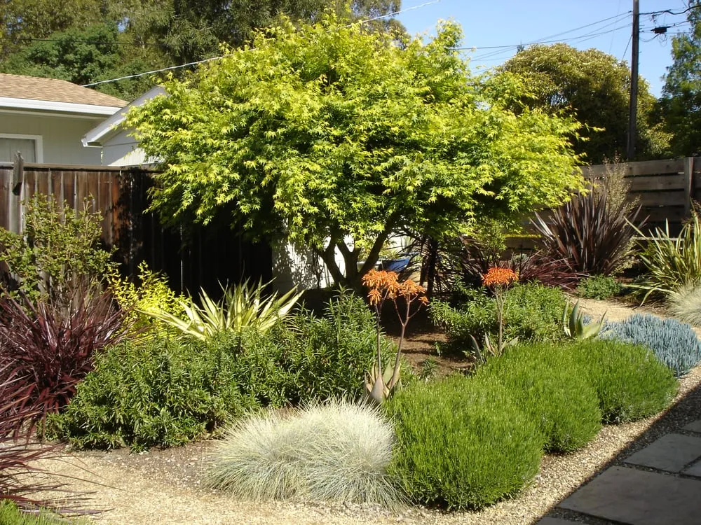 Local residential landscaping in Berkeley, CA - McCaffrey Brothers, Inc.