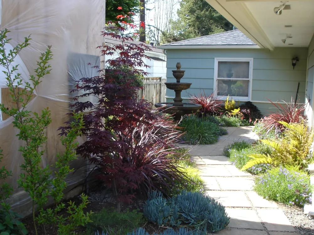 Affordable landscape installation in Berkeley, CA by McCaffrey Brothers, Inc.