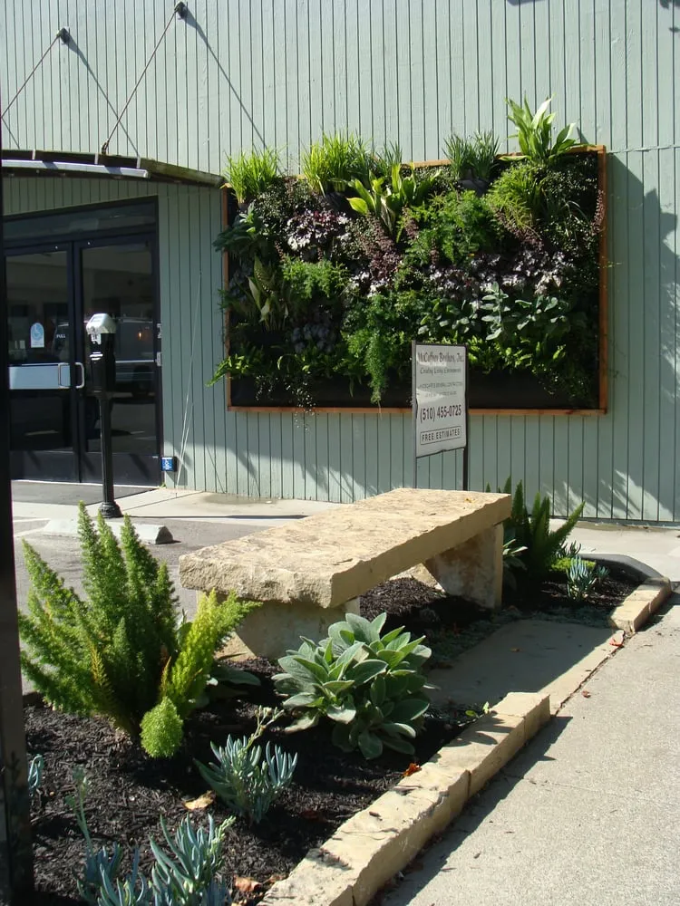 Custom yard maintenance for homes in Berkeley, CA by McCaffrey Brothers, Inc.