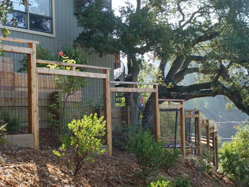 Affordable yard maintenance experts serving Berkeley, CA - McCaffrey Brothers, Inc.