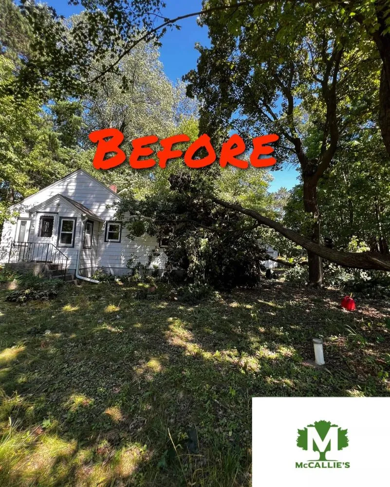 Trusted yard cleanup service in Somerset, WI by McCallie's