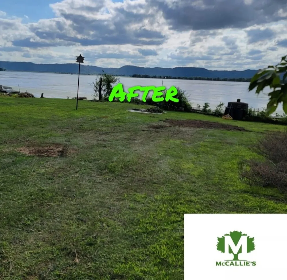 Professional landscaping services in Somerset, WI by McCallie's