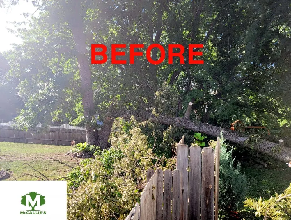 Top-rated yard cleanup service in Somerset, WI by McCallie's