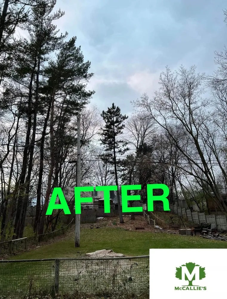 Reliable garden landscaping in Somerset, WI by McCallie's