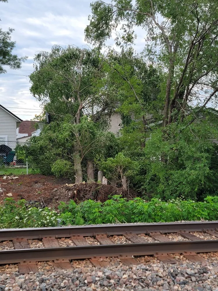 Custom residential landscaping in Somerset, WI - McCallie's