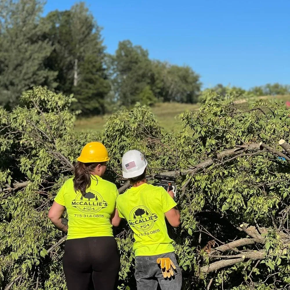 Expert garden landscaping in Somerset, WI by McCallie's