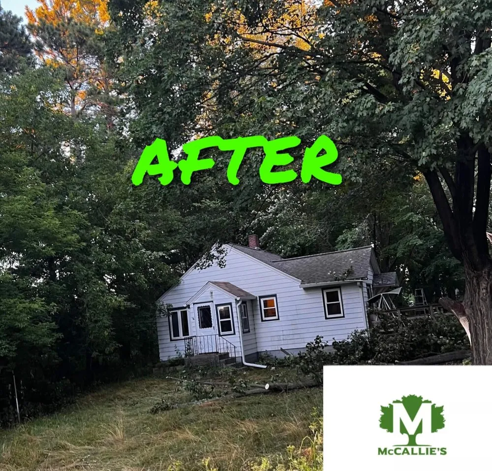 Custom lawn care service for homes in Somerset, WI by McCallie's