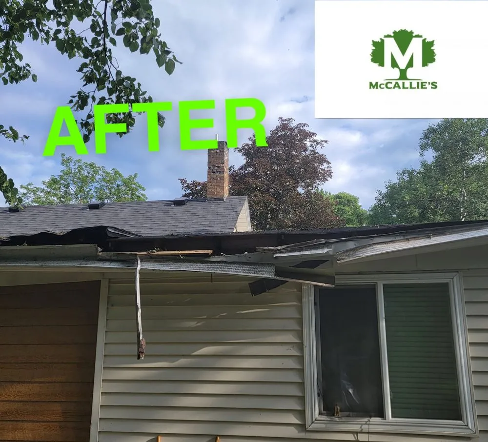 Affordable landscaping services for homes across Somerset, WI - McCallie's