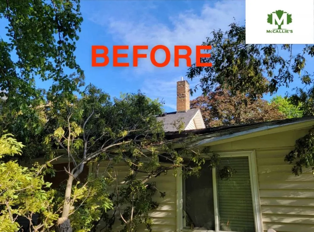 Local yard maintenance for outdoor upgrades in Somerset, WI by McCallie's