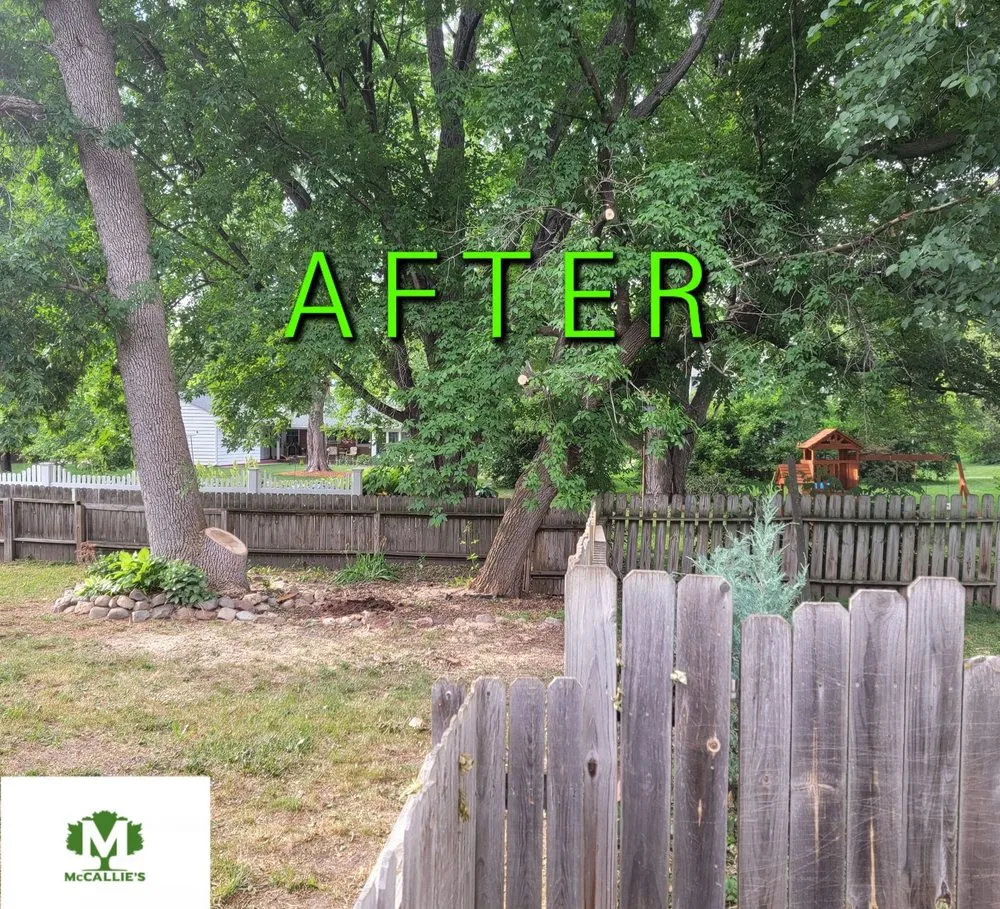 Affordable residential landscaping for residential properties across Somerset, WI - McCallie's