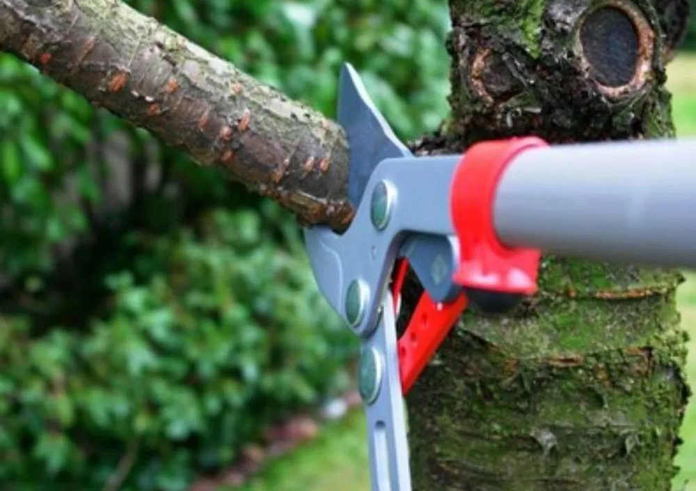 Affordable garden landscaping in Somerset, WI by McCallie's