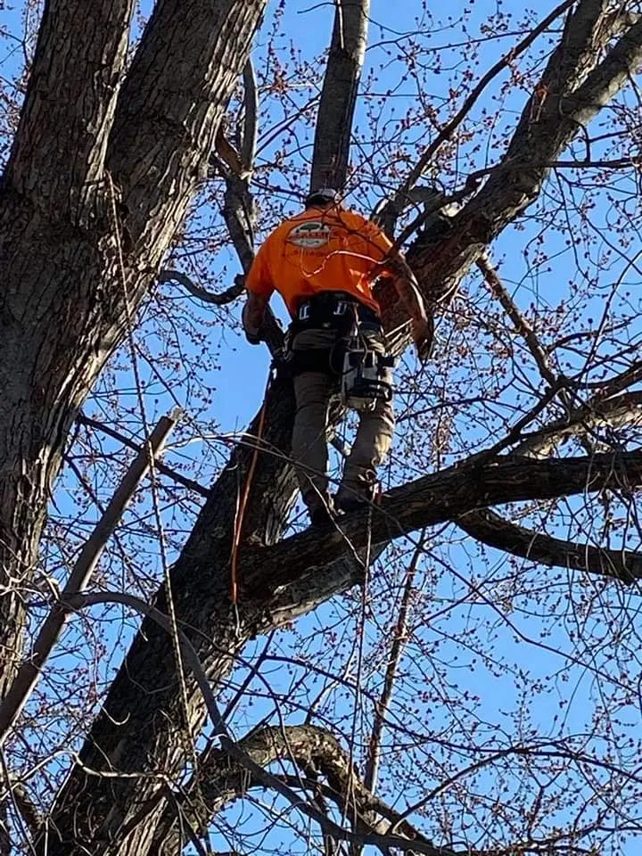Affordable residential landscaping in Somerset, WI - McCallie's
