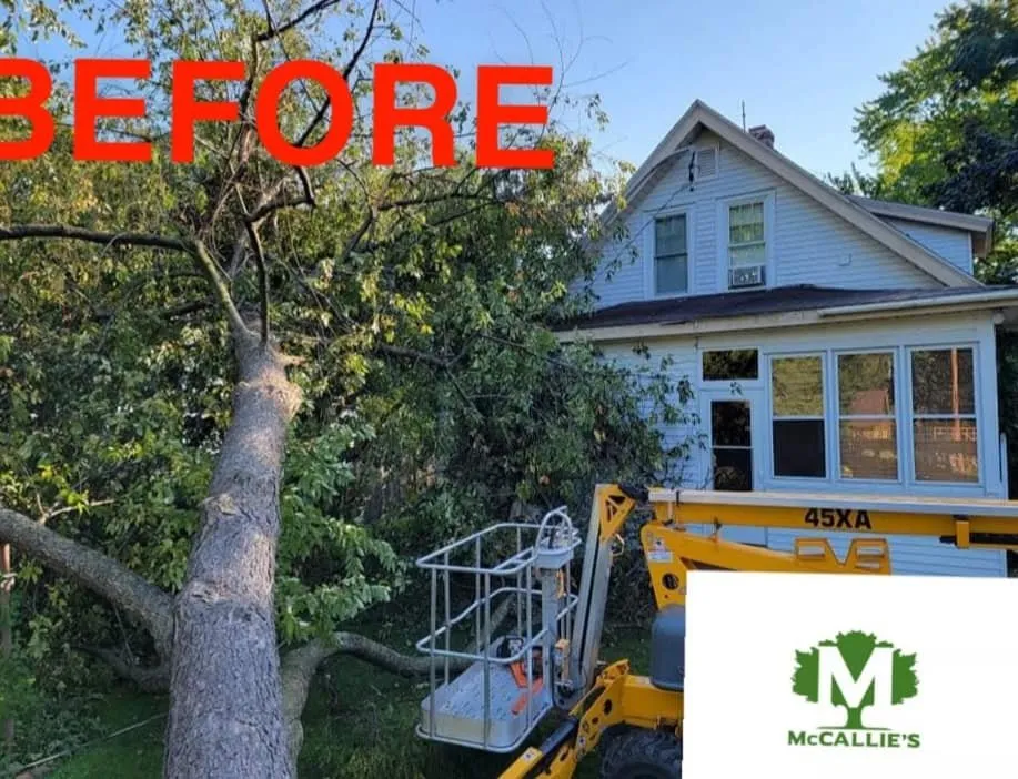 Expert yard maintenance in Somerset, WI - McCallie's