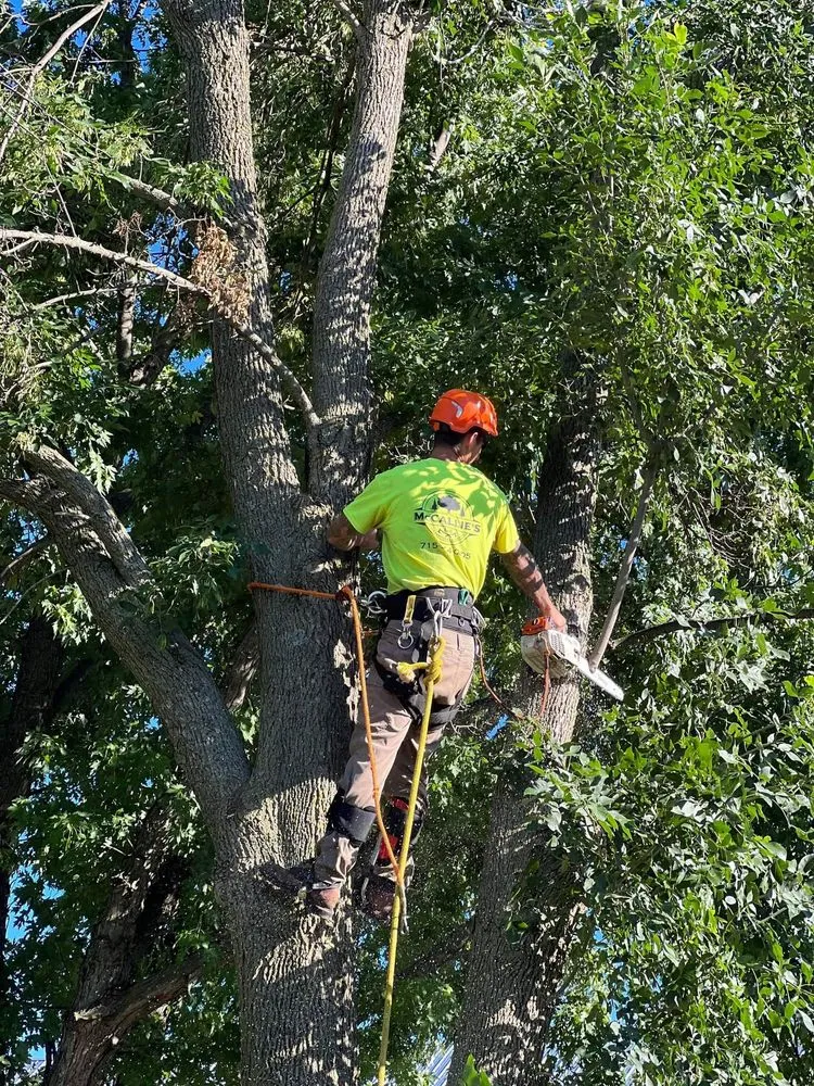 Local residential landscaping in Somerset, WI - McCallie's