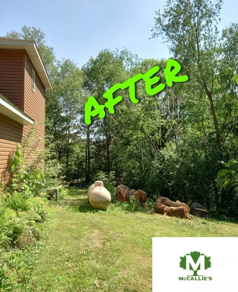 Trusted yard cleanup service near you across Somerset, WI - McCallie's