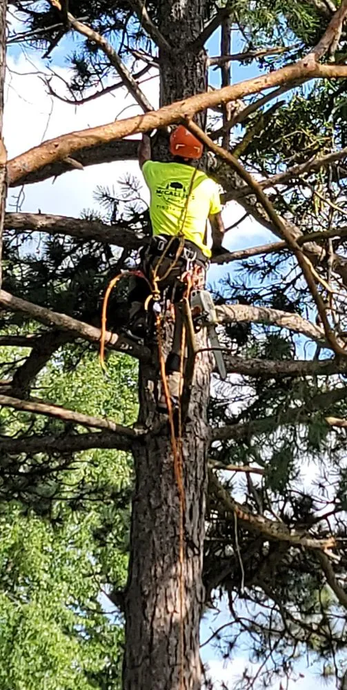 Expert residential landscaping in Somerset, WI - McCallie's