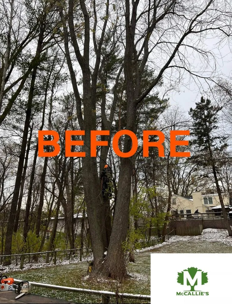 Trusted lawn mowing service in Somerset, WI by McCallie's