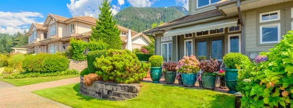 McCall's Landscape & Tree Service Logo